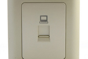 远景系列—金棕色—一位8芯电脑插座