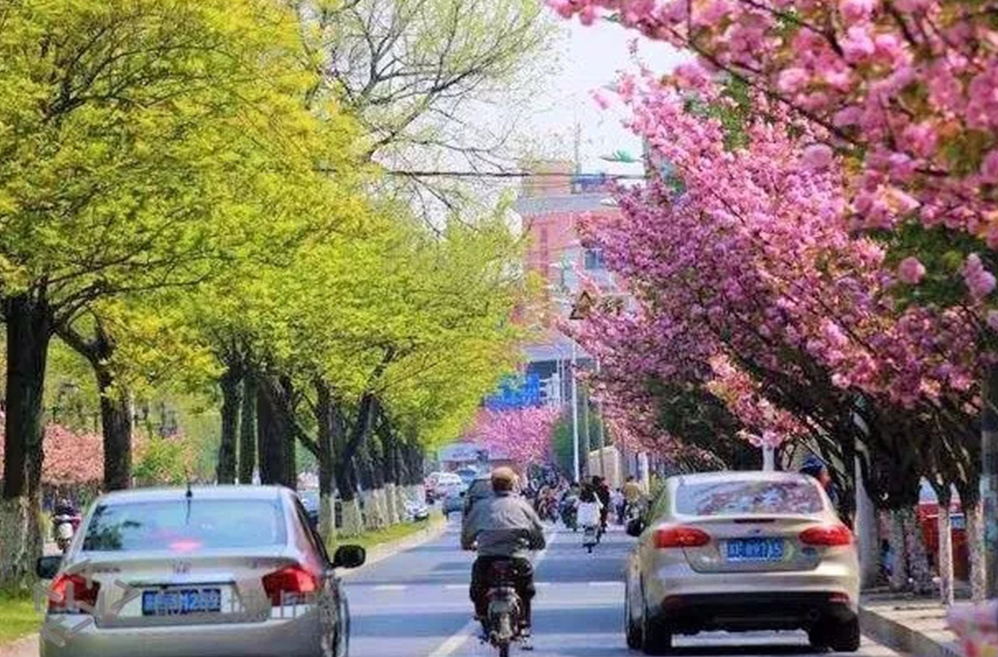 欣赏咱们南通自己的最美城山路！大隐于市，静守一方。