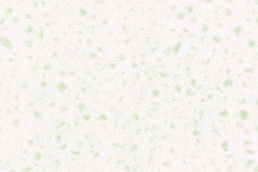 精工玉石BJA01-8*8