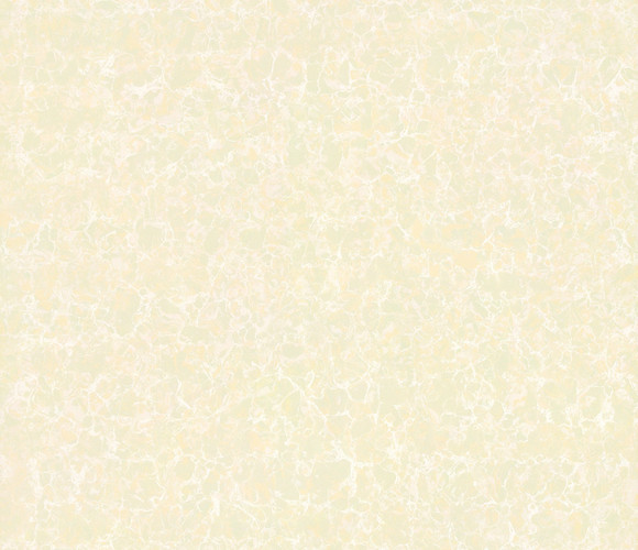 普拉提-抛光砖800*800